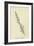 Nasticreechia Krorluppia-Edward Lear-Framed Giclee Print