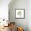 Nasturtium 1-Albert Koetsier-Framed Premium Giclee Print displayed on a wall