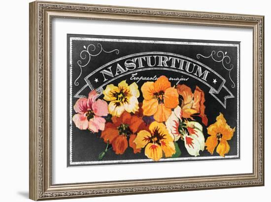 Nasturtium Blooms-null-Framed Giclee Print