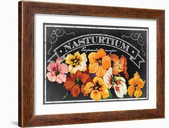 Nasturtium Blooms-null-Framed Giclee Print