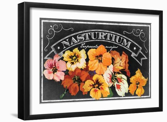 Nasturtium Blooms-null-Framed Giclee Print