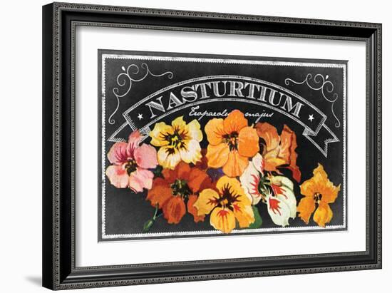 Nasturtium Blooms-null-Framed Giclee Print