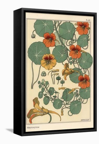 Nasturtium Botanical Study, 1897 (Lithograph)-Eugene Grasset-Framed Premier Image Canvas