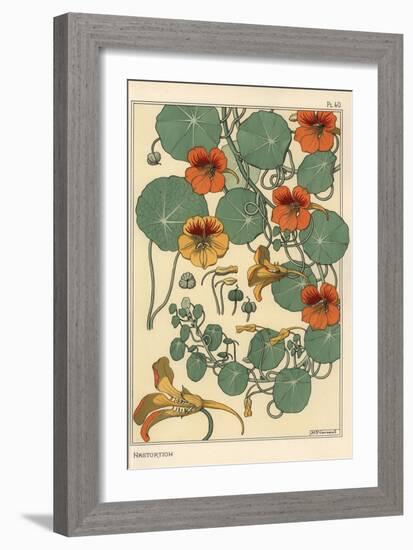 Nasturtium Botanical Study, 1897 (Lithograph)-Eugene Grasset-Framed Giclee Print