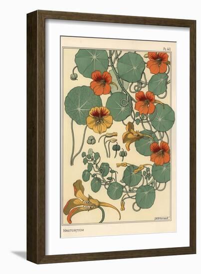 Nasturtium Botanical Study, 1897 (Lithograph)-Eugene Grasset-Framed Giclee Print