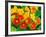 Nasturtium Flowers, Tropaeolum, Seattle, Washington, USA-Adam Jones-Framed Photographic Print