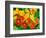 Nasturtium Flowers, Tropaeolum, Seattle, Washington, USA-Adam Jones-Framed Photographic Print