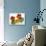 Nasturtium Flowers-null-Photographic Print displayed on a wall