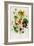 Nasturtium, Plate 21 from 'The Ladies' Flower Garden', Published 1842-Jane Loudon-Framed Giclee Print