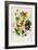 Nasturtium, Plate 21 from 'The Ladies' Flower Garden', Published 1842-Jane Loudon-Framed Giclee Print