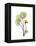 Nasturtium Portrait 1-Albert Koetsier-Framed Stretched Canvas