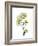 Nasturtium Portrait 1-Albert Koetsier-Framed Premium Giclee Print