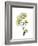 Nasturtium Portrait 1-Albert Koetsier-Framed Premium Giclee Print