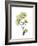 Nasturtium Portrait 1-Albert Koetsier-Framed Premium Giclee Print