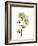 Nasturtium Portrait 2-Albert Koetsier-Framed Premium Giclee Print