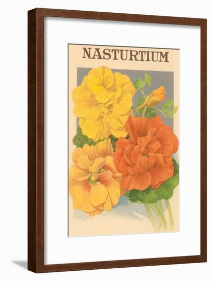 Nasturtium Seed Packet-null-Framed Art Print