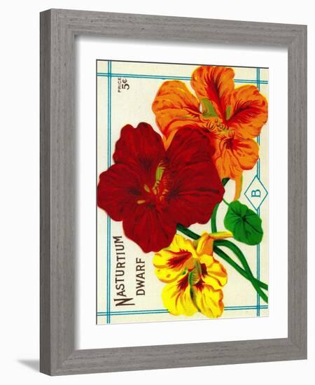 Nasturtium Seed Packet-Lantern Press-Framed Art Print