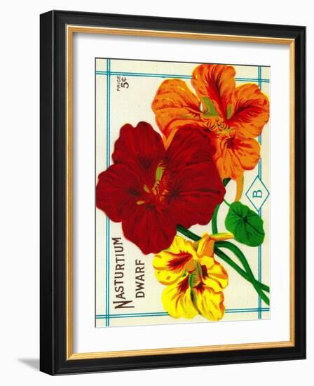 Nasturtium Seed Packet-Lantern Press-Framed Art Print