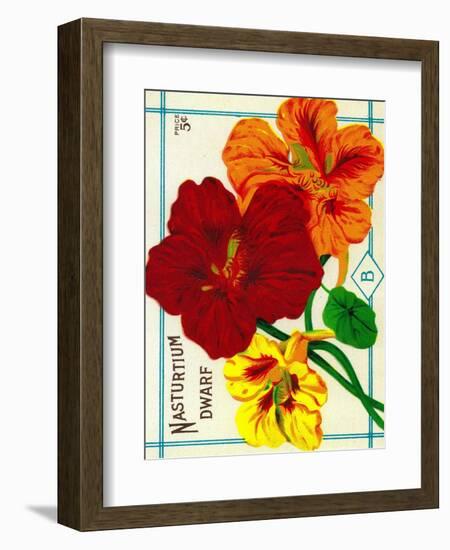 Nasturtium Seed Packet-Lantern Press-Framed Art Print