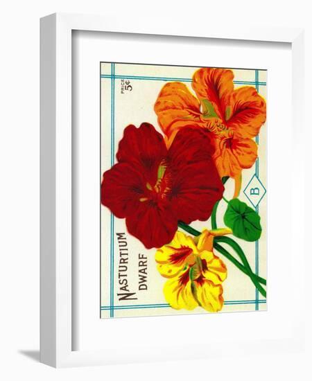 Nasturtium Seed Packet-Lantern Press-Framed Art Print