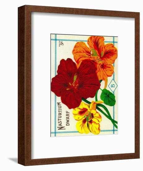 Nasturtium Seed Packet-Lantern Press-Framed Art Print