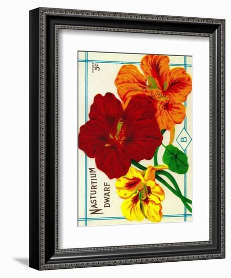 Nasturtium Seed Packet-Lantern Press-Framed Art Print