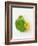 Nasturtium with Yellow Flower-Oliver Schwarzwald-Framed Photographic Print