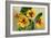 Nasturtium-null-Framed Art Print