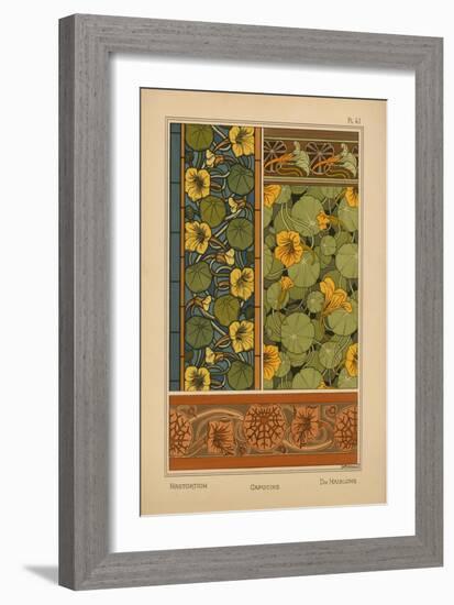 Nasturtium-null-Framed Giclee Print