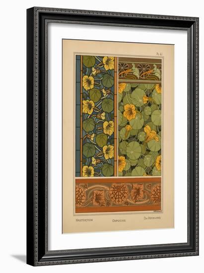 Nasturtium-null-Framed Giclee Print