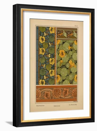 Nasturtium-null-Framed Giclee Print