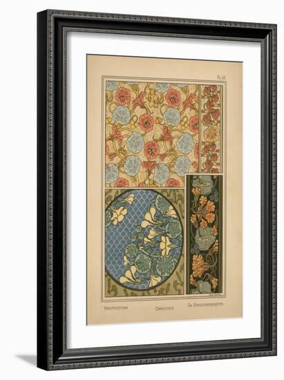 Nasturtium-null-Framed Giclee Print