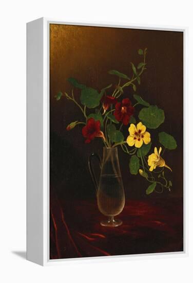 Nasturtiums in a Vase, Circa 1865-1875-David Gilmour Blythe-Framed Premier Image Canvas