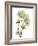 Nasturtiums L192-Albert Koetsier-Framed Photographic Print