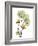 Nasturtiums L192-Albert Koetsier-Framed Photographic Print