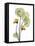 Nasturtiums L192-Albert Koetsier-Framed Premier Image Canvas