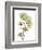 Nasturtiums L192-Albert Koetsier-Framed Photographic Print