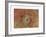Nasturtiums-Odilon Redon-Framed Premium Giclee Print