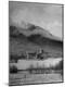 Photographic Print