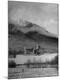 Photographic Print