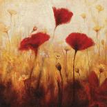 Poppies and Daisies I-Natalie Carter-Art Print