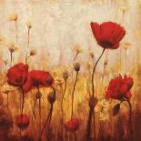 Poppies and Daisies II-Natalie Carter-Art Print