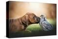 Stretched Canvas Print