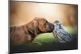 Premium Photographic Print