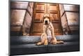 Premium Photographic Print