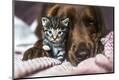 Premium Photographic Print