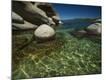 Photographic Print