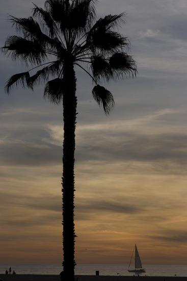 Photo, , large