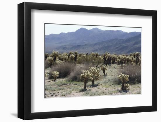 Photo, , large