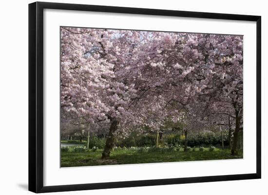 Photo, , large